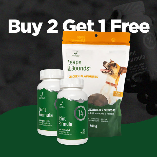 2 Joint Formula 14 (180 Capsules) & Get 1 Leaps & Bounds Soft Chews for Dogs FREE!